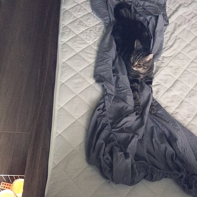 mikomaruさんの実例写真