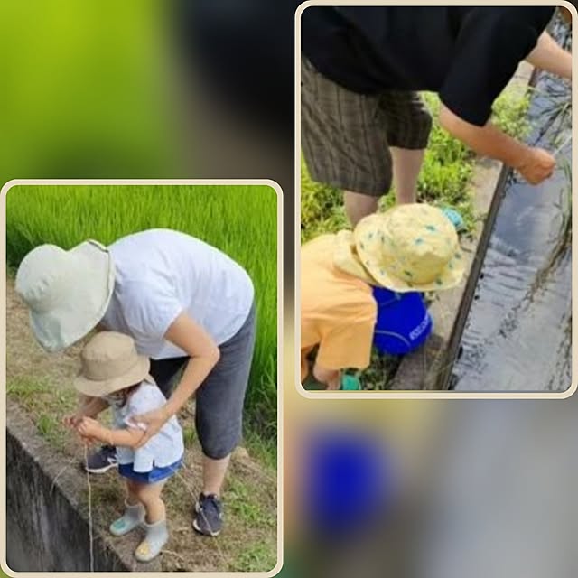 michiさんの部屋