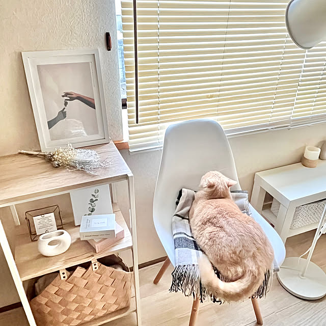 kiyomiさんの実例写真