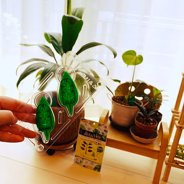 Tomokoさんの部屋