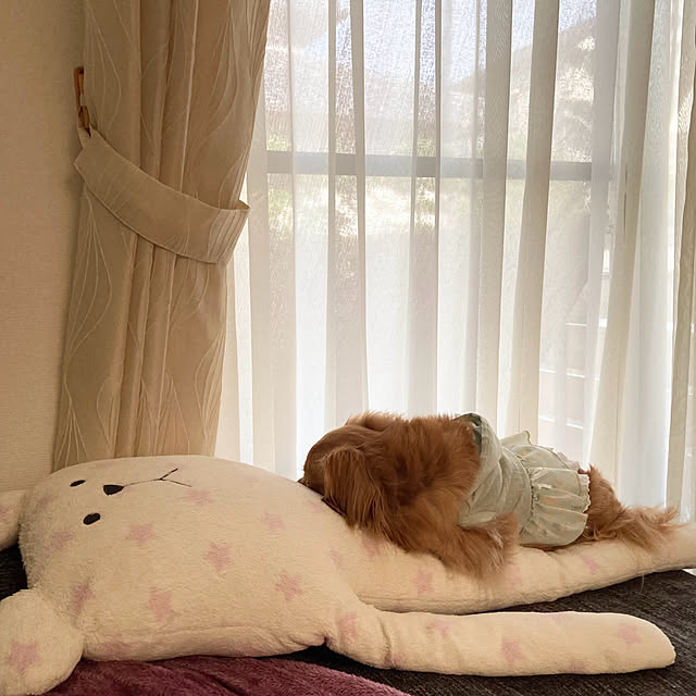 chachamamaさんの部屋