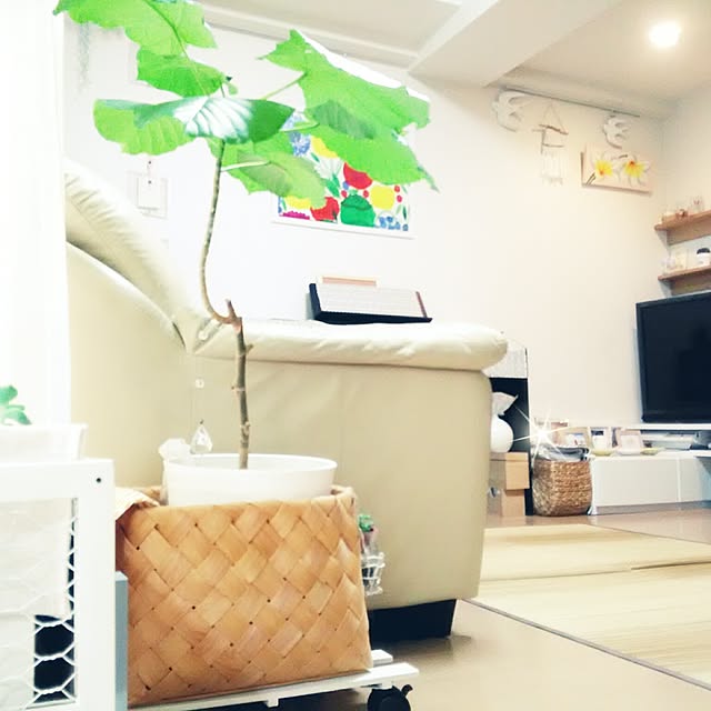 babypoohさんの実例写真