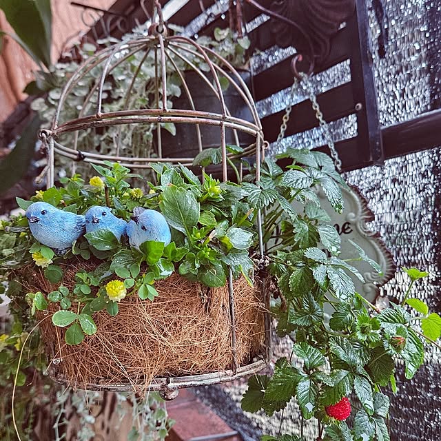 mocomocoさんの実例写真