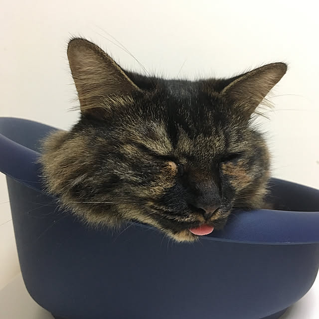 mikomaruさんの実例写真
