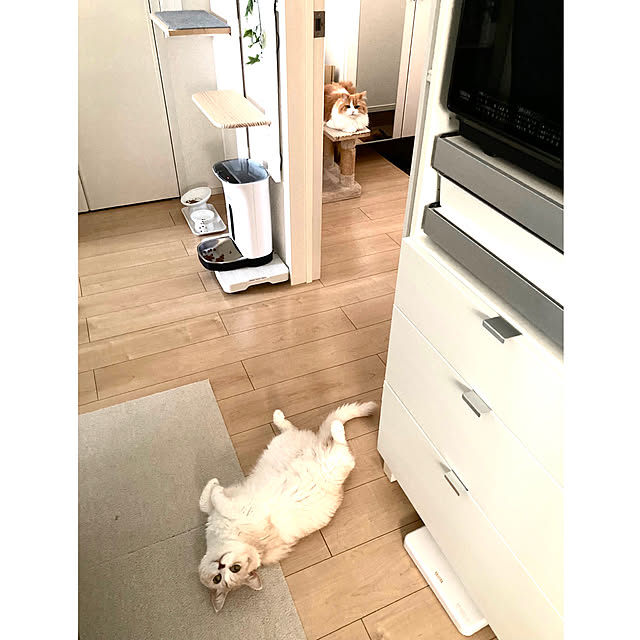 H.Tさんの実例写真