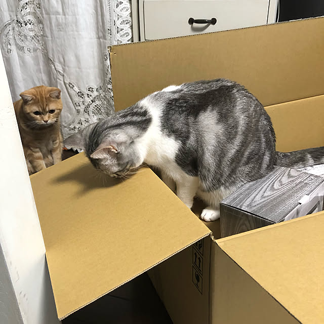 Atelier.mさんの実例写真