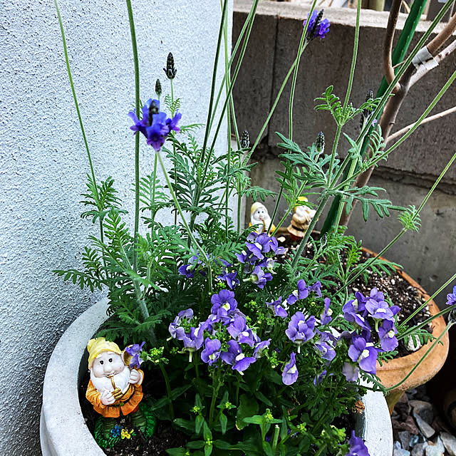SSさんの実例写真