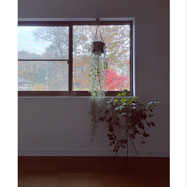 marucoさんの実例写真