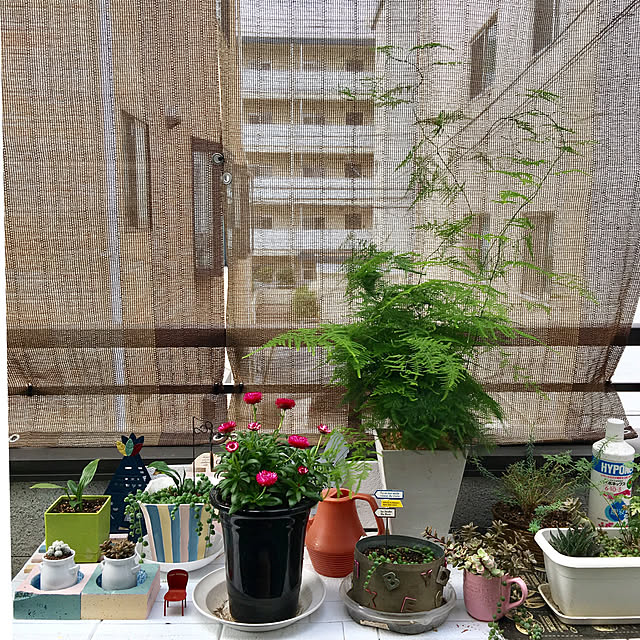 puriyuzuさんの実例写真