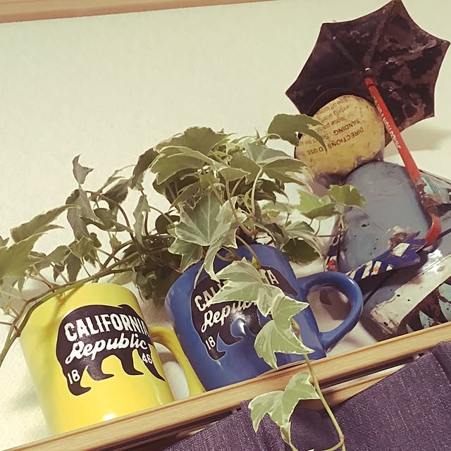 miumiuさんの実例写真