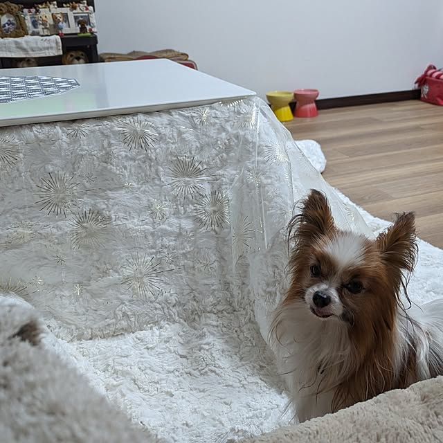 buddykoさんの実例写真