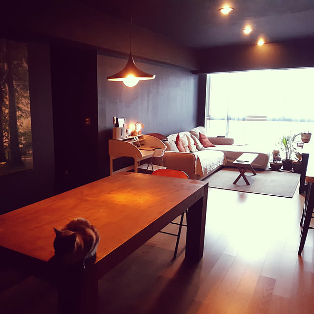 部屋全体/salut!のインテリア実例 - 2019-07-26 09:09:27