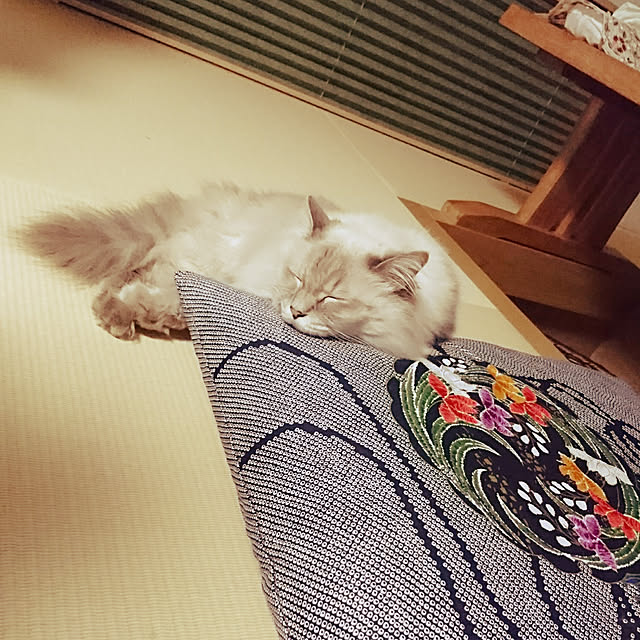 monamocoaraさんの実例写真
