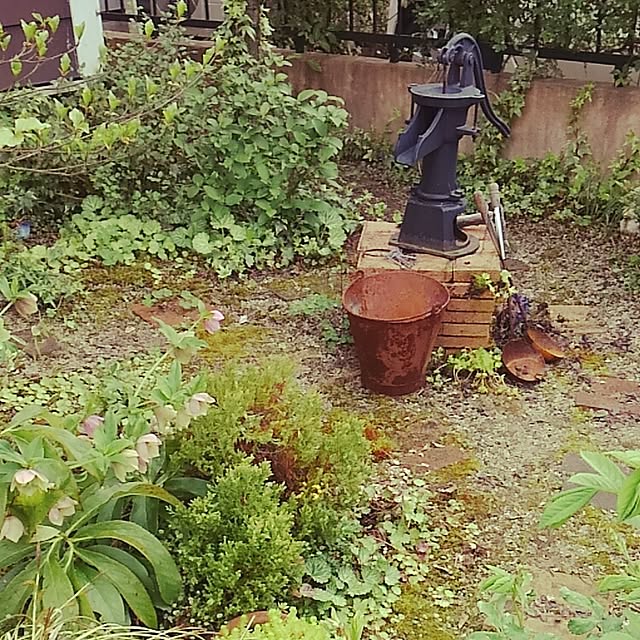 keiko123さんの実例写真