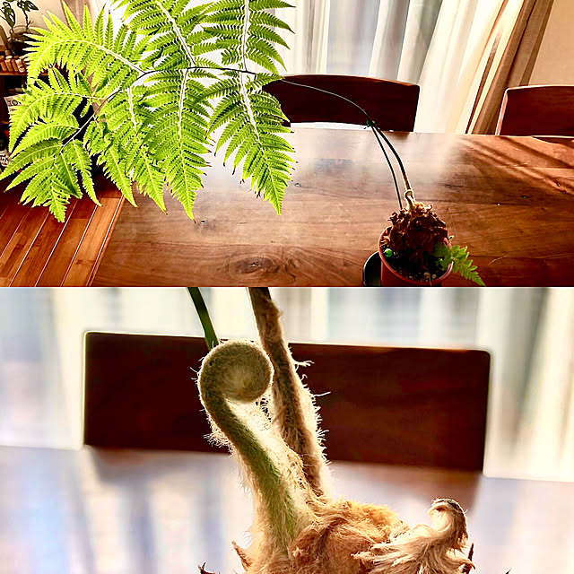 kousakuさんの実例写真