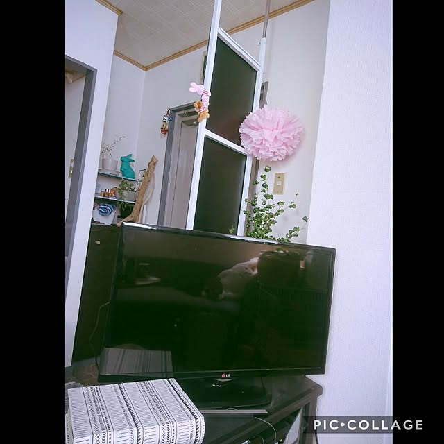 noirAyaさんの実例写真