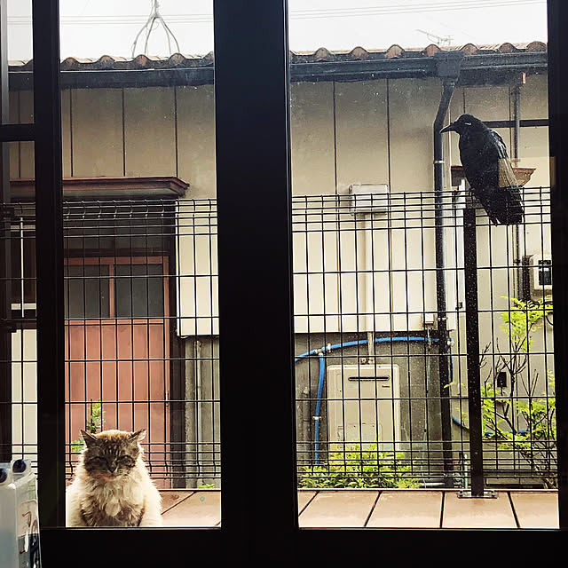 tommyさんの実例写真