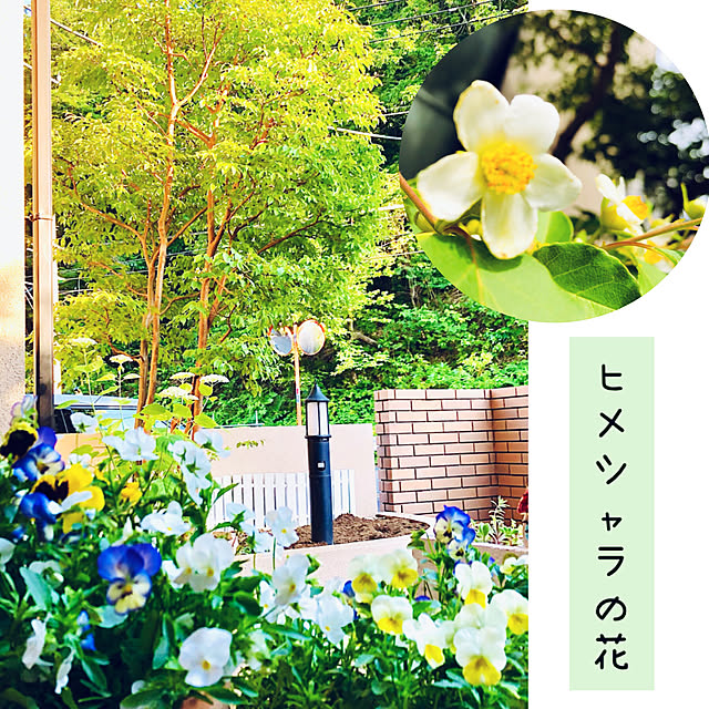 NAOさんの実例写真