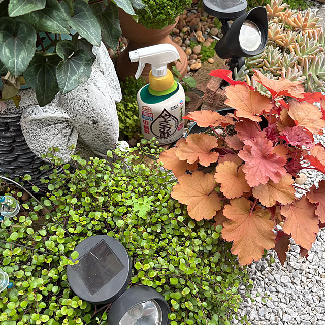 nannoさんの実例写真