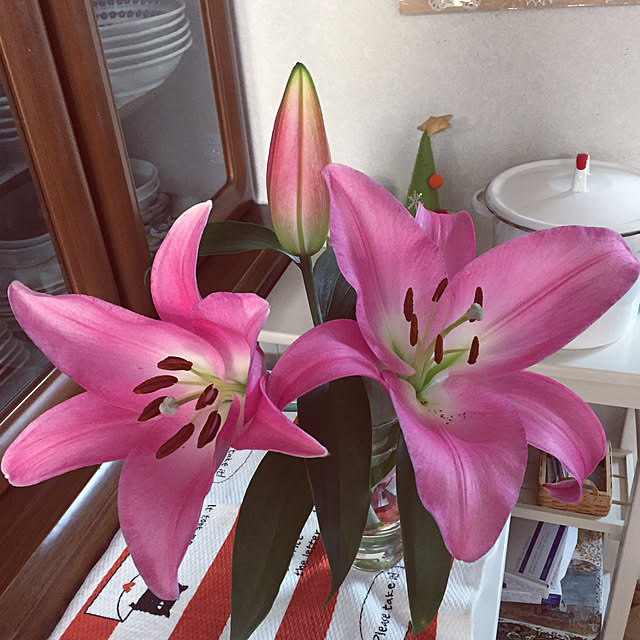 takakoさんの実例写真