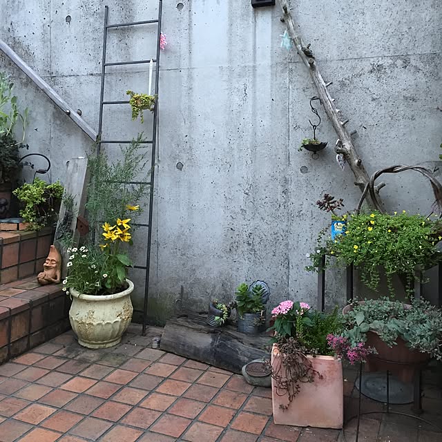 実例写真