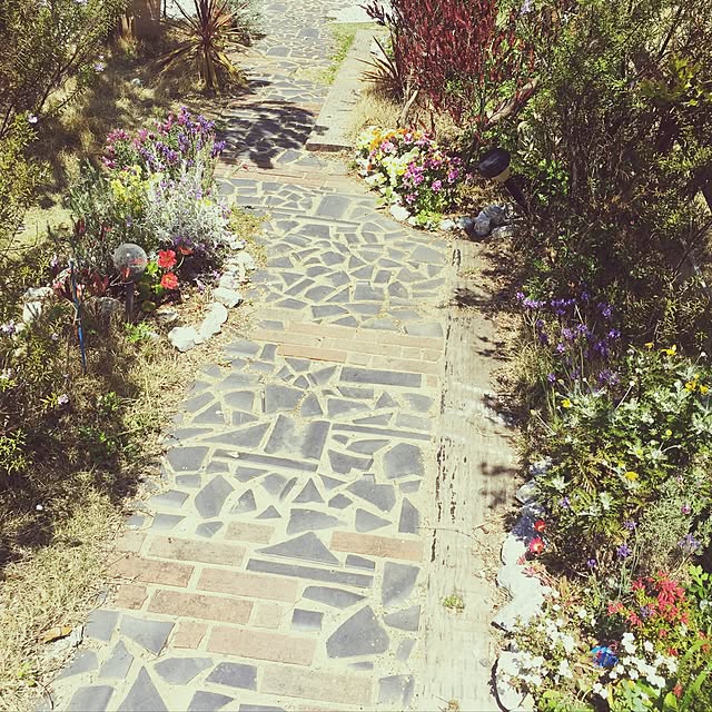 anna64さんの実例写真