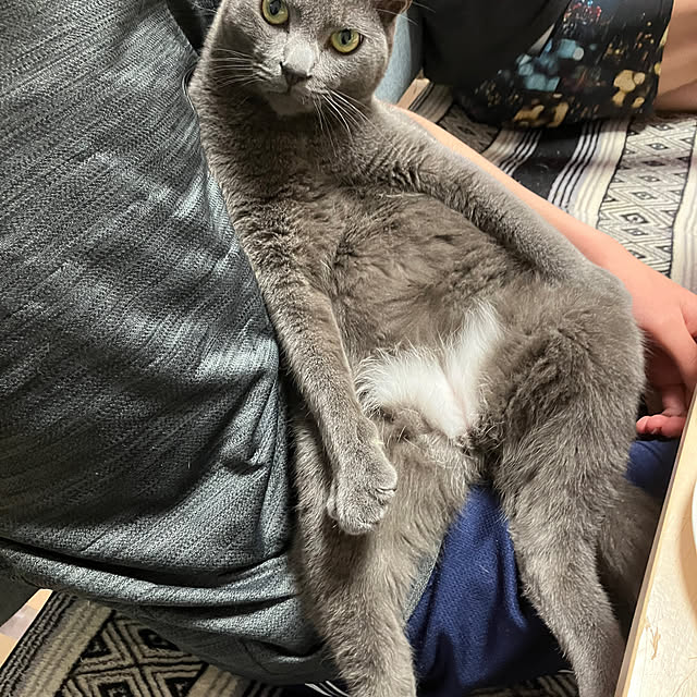 nekoさんの実例写真