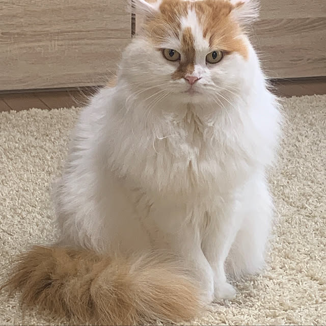 keiさんの実例写真