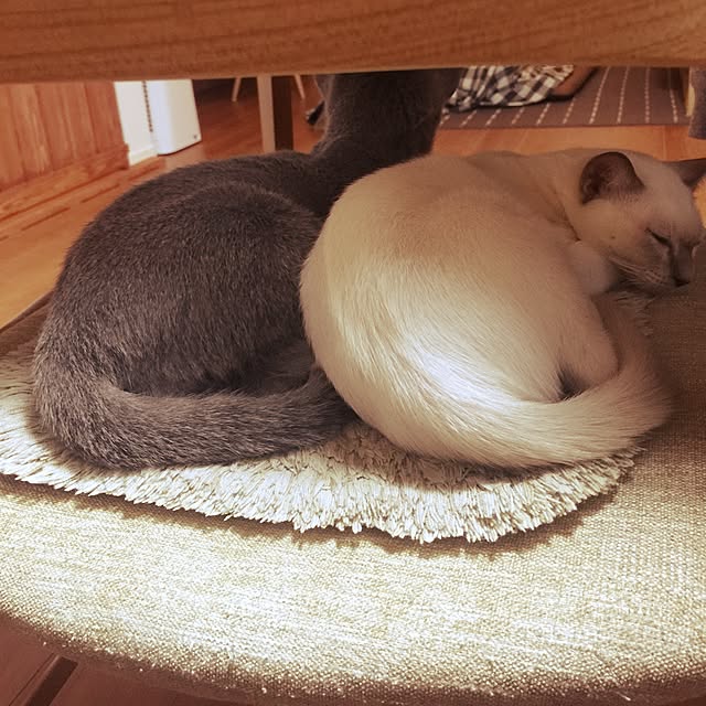 maaayonさんの実例写真
