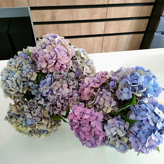 ya_maさんの部屋