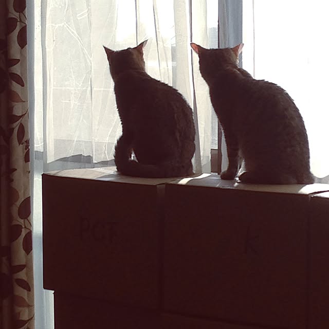 1633さんの実例写真
