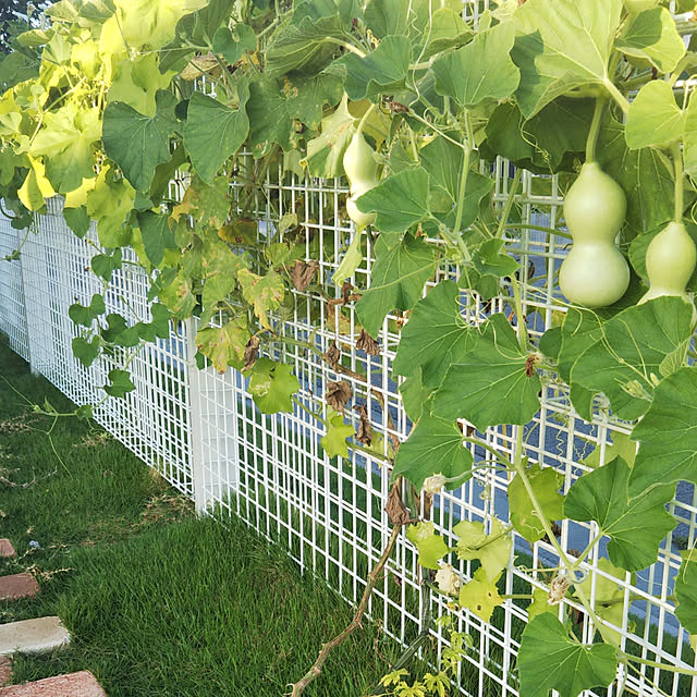 tommさんの実例写真