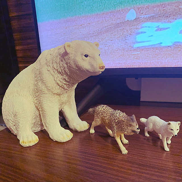 kazukiさんの実例写真