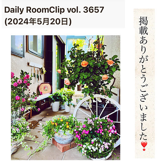 NAOさんの実例写真