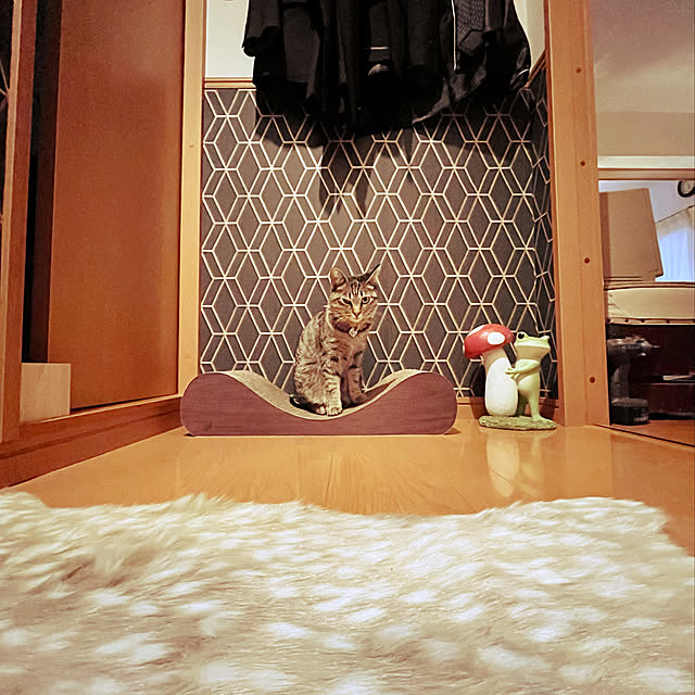 Mさんの実例写真