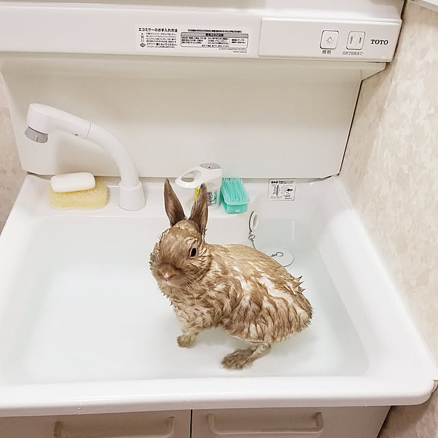 miccyoさんの実例写真