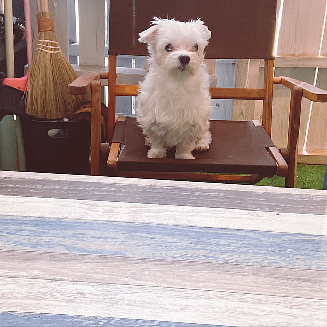 relaxsunさんの実例写真