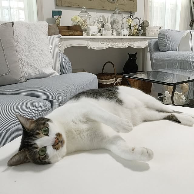 yuchiさんの実例写真