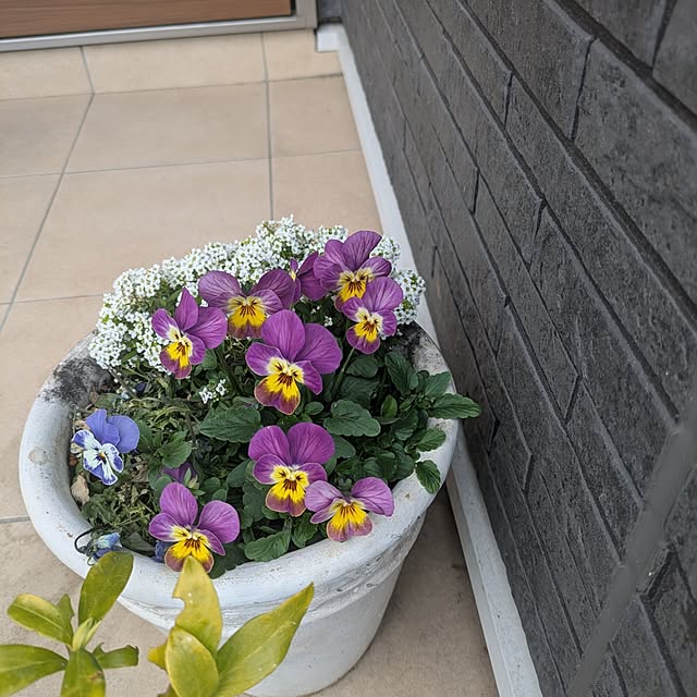 minnieさんの実例写真