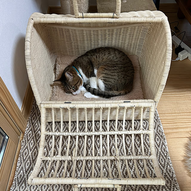 haruさんの部屋
