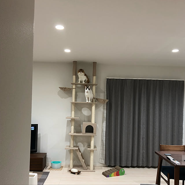 nnkttoさんの実例写真