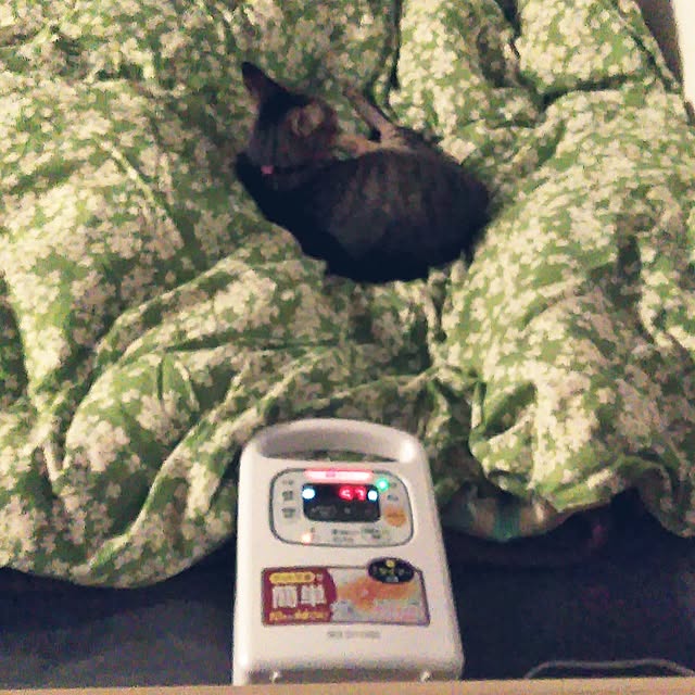 futukoさんの部屋