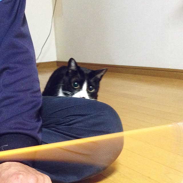 Kinanさんの実例写真