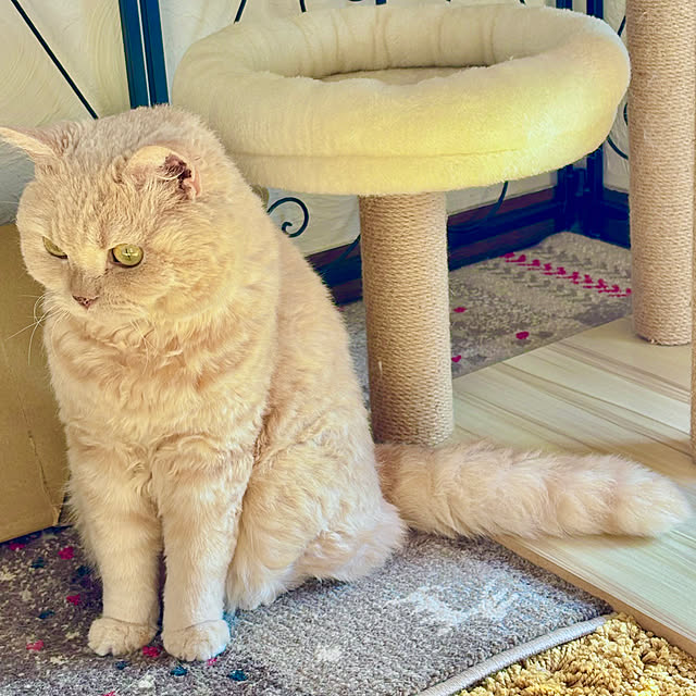 naokoさんの部屋