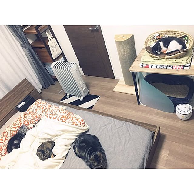 mikomaruさんの実例写真