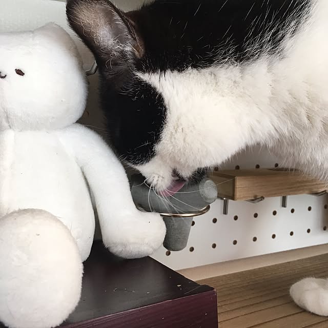 mikomaruさんの実例写真