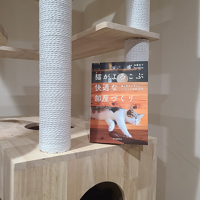 hainenさんの実例写真