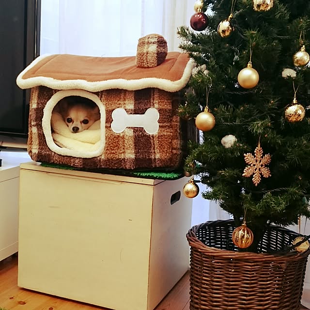 rumiさんの実例写真