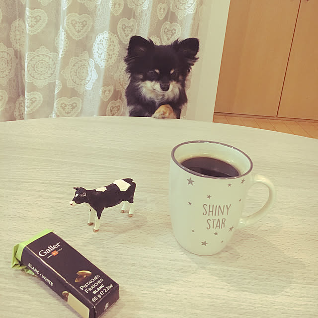 cocoさんの実例写真