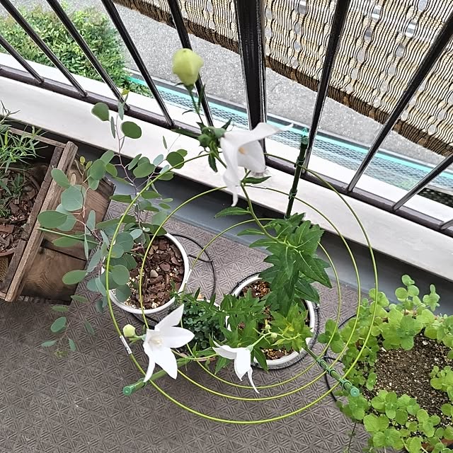 mi-saさんの部屋